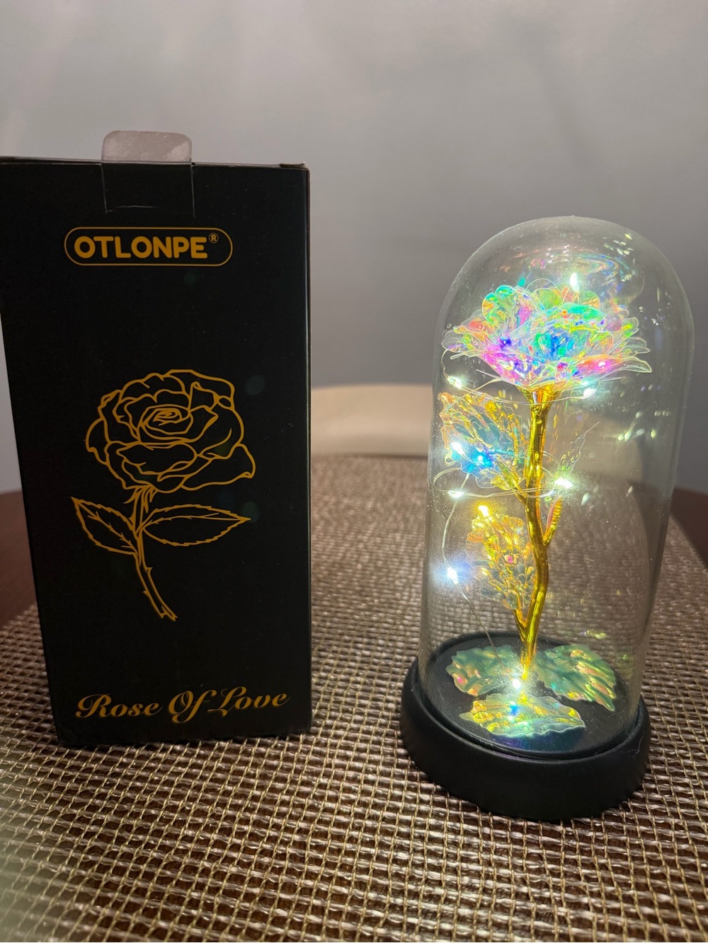 OTLONPE Rose of Love Decorative Lamp with LED Lights